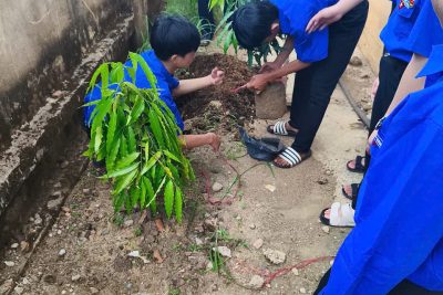 TRƯỜNG THCS LÊ ĐÌNH CHINH TỔ CHỨC LỄ PHÁT ĐỘNG TRỒNG CÂY KỶ NIỆM 135 NĂM NGÀY SINH CHỦ TỊCH HỒ CHÍ MINH